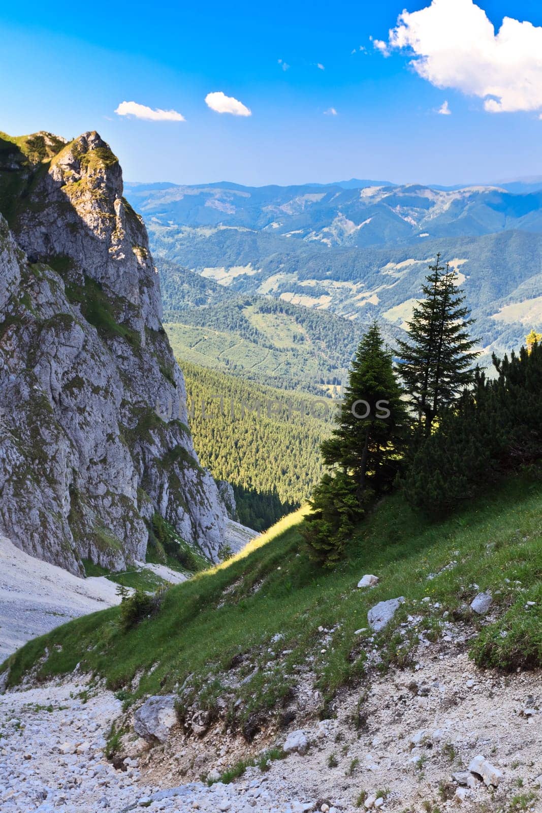 mountain slope in Piatra Craiului Mountains, Romania