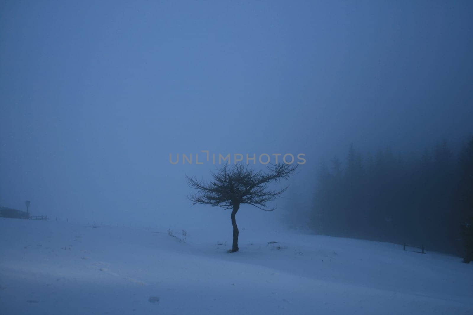 In a snowstorm