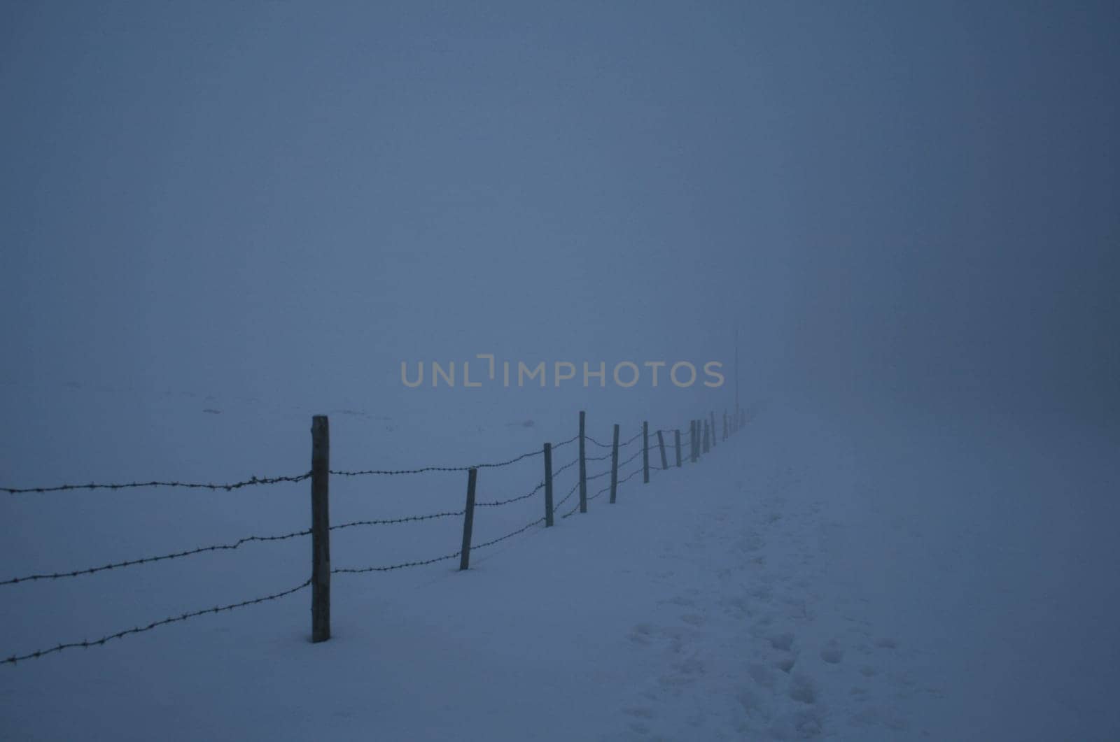 In the fog