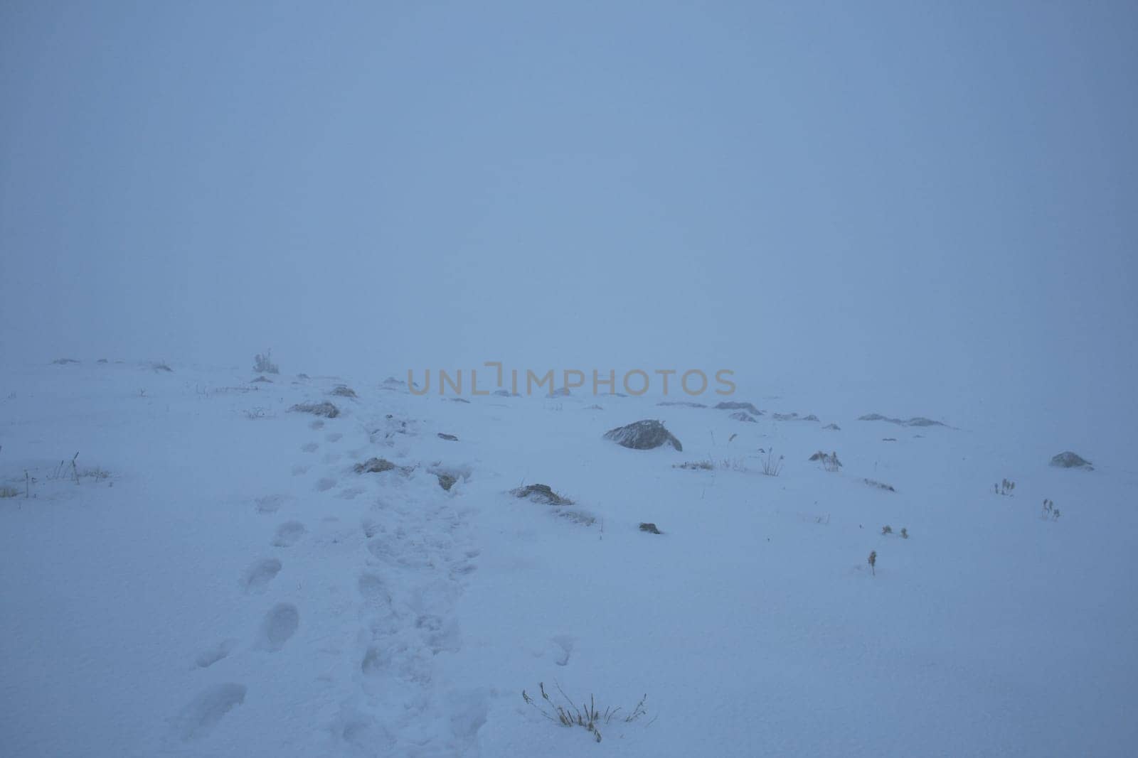 In a snowstorm