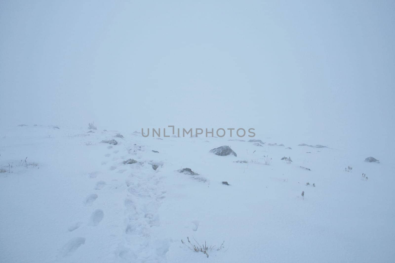 In a snowstorm