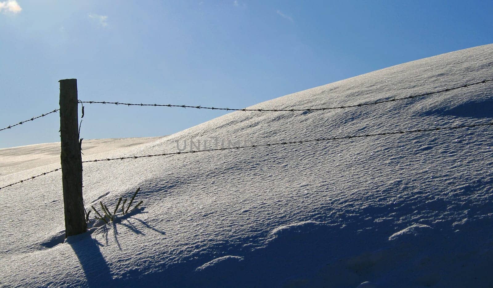 Winter in the Alps
