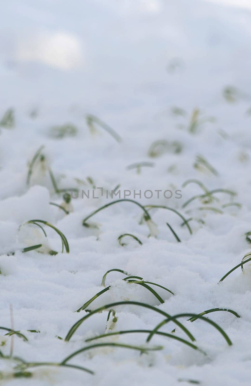 March snow