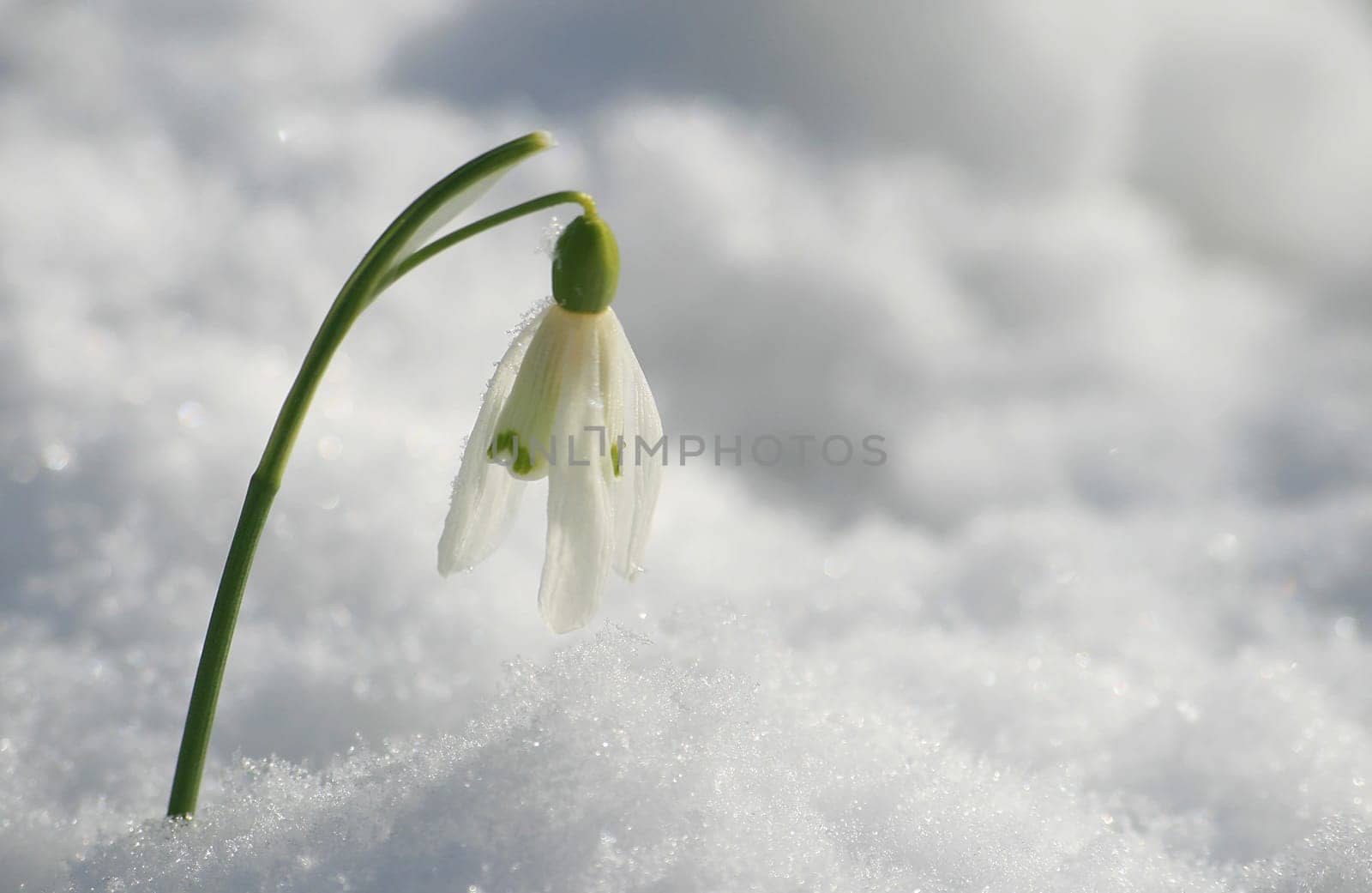 March snow