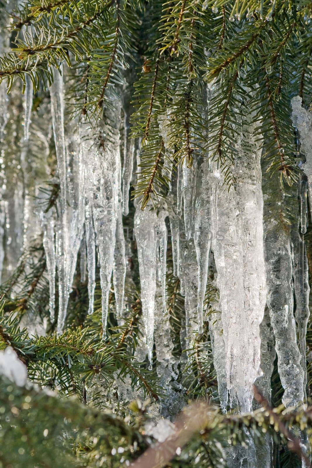 Icicle