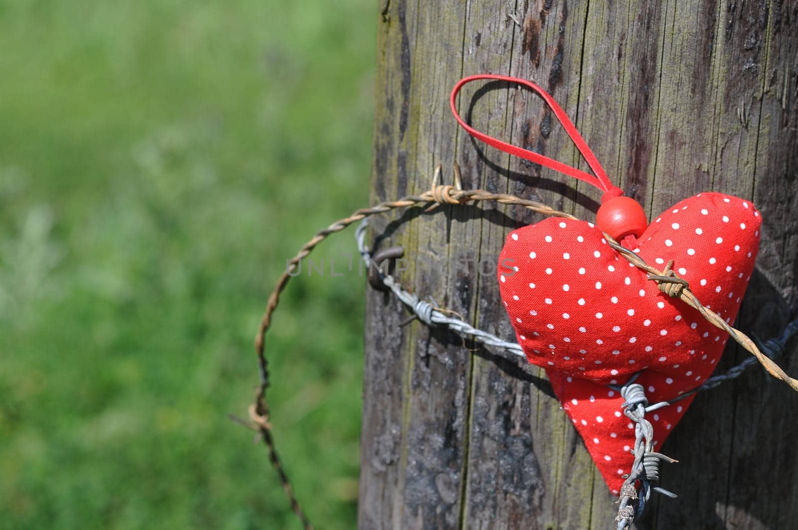 red heart with thumb wire