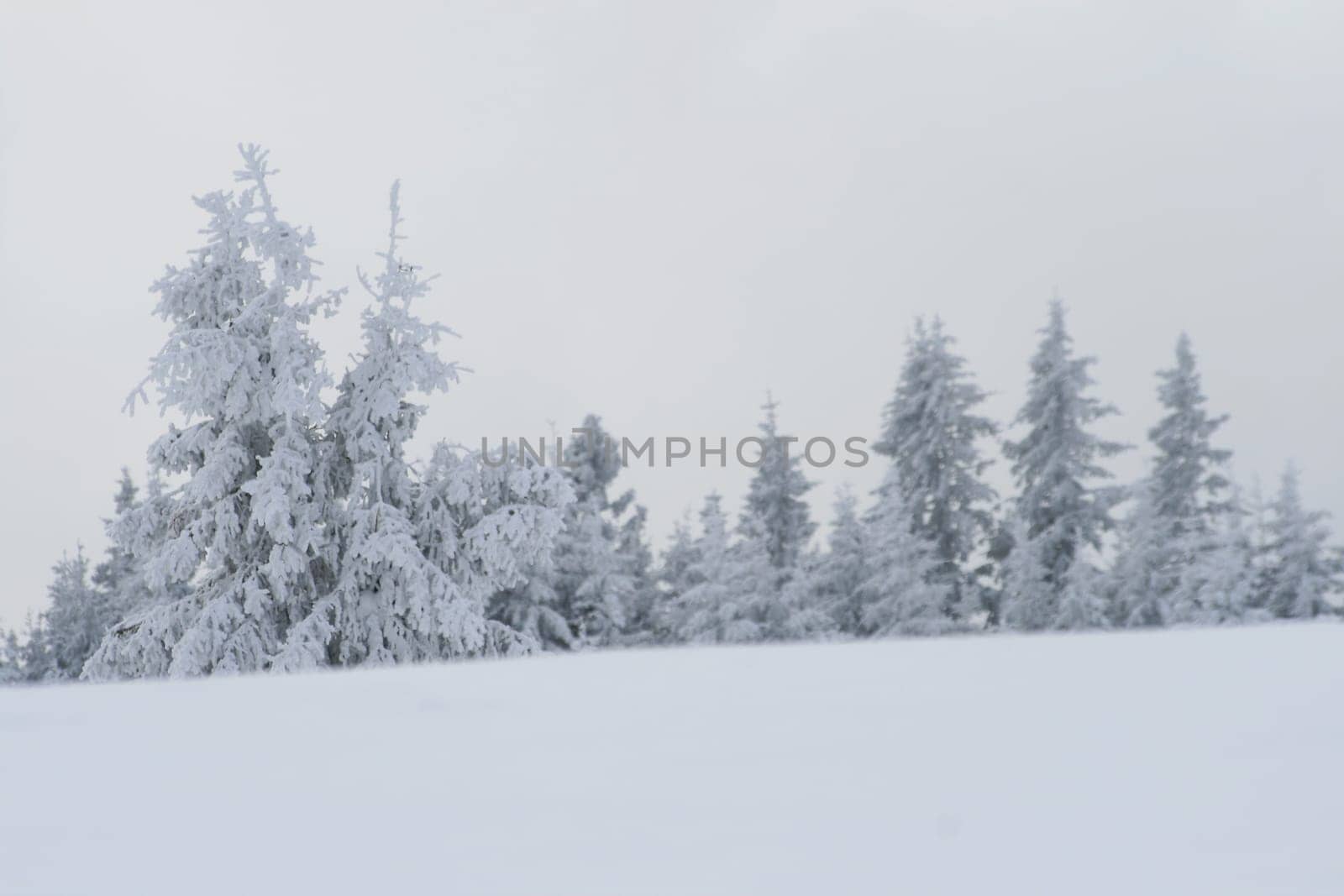 Winter in the Alps