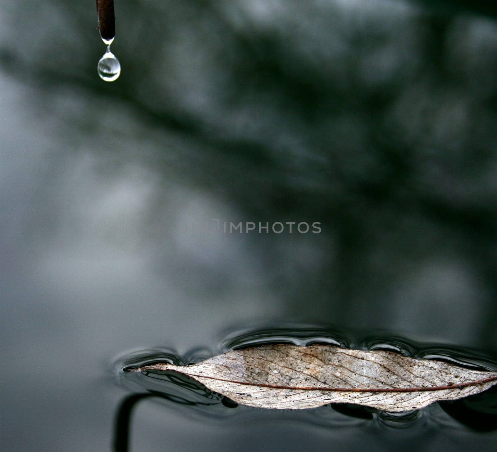 Waterdrop