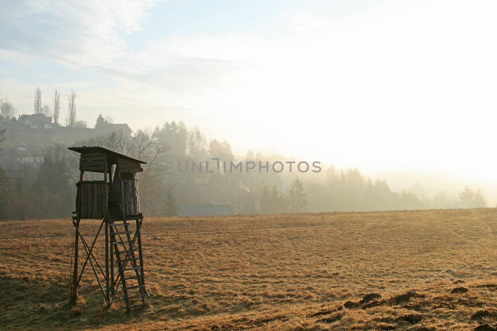 Raised hide
