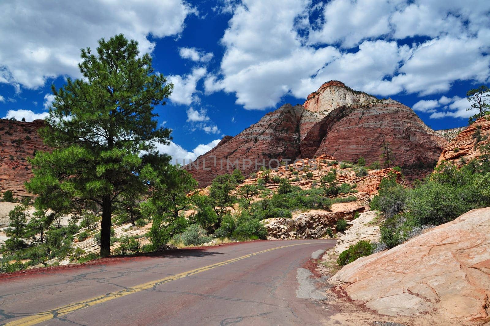 Lonely road in Zion National Park,Utah,USA