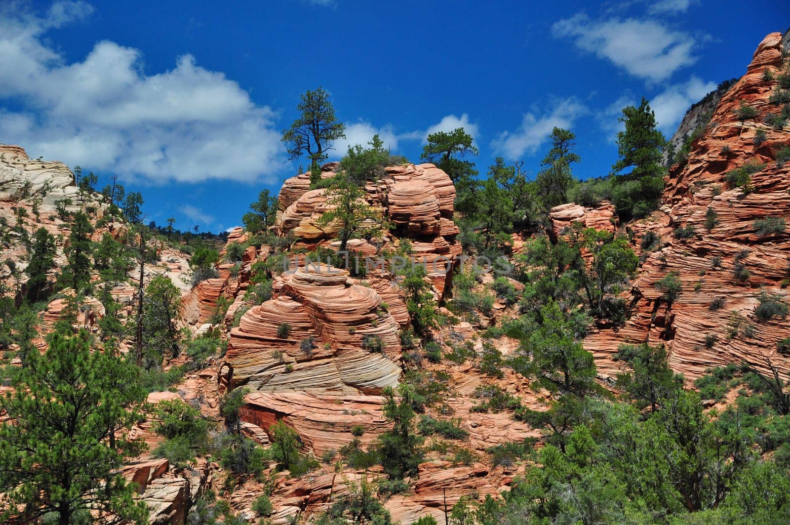 Zion National Park,Utah,USA