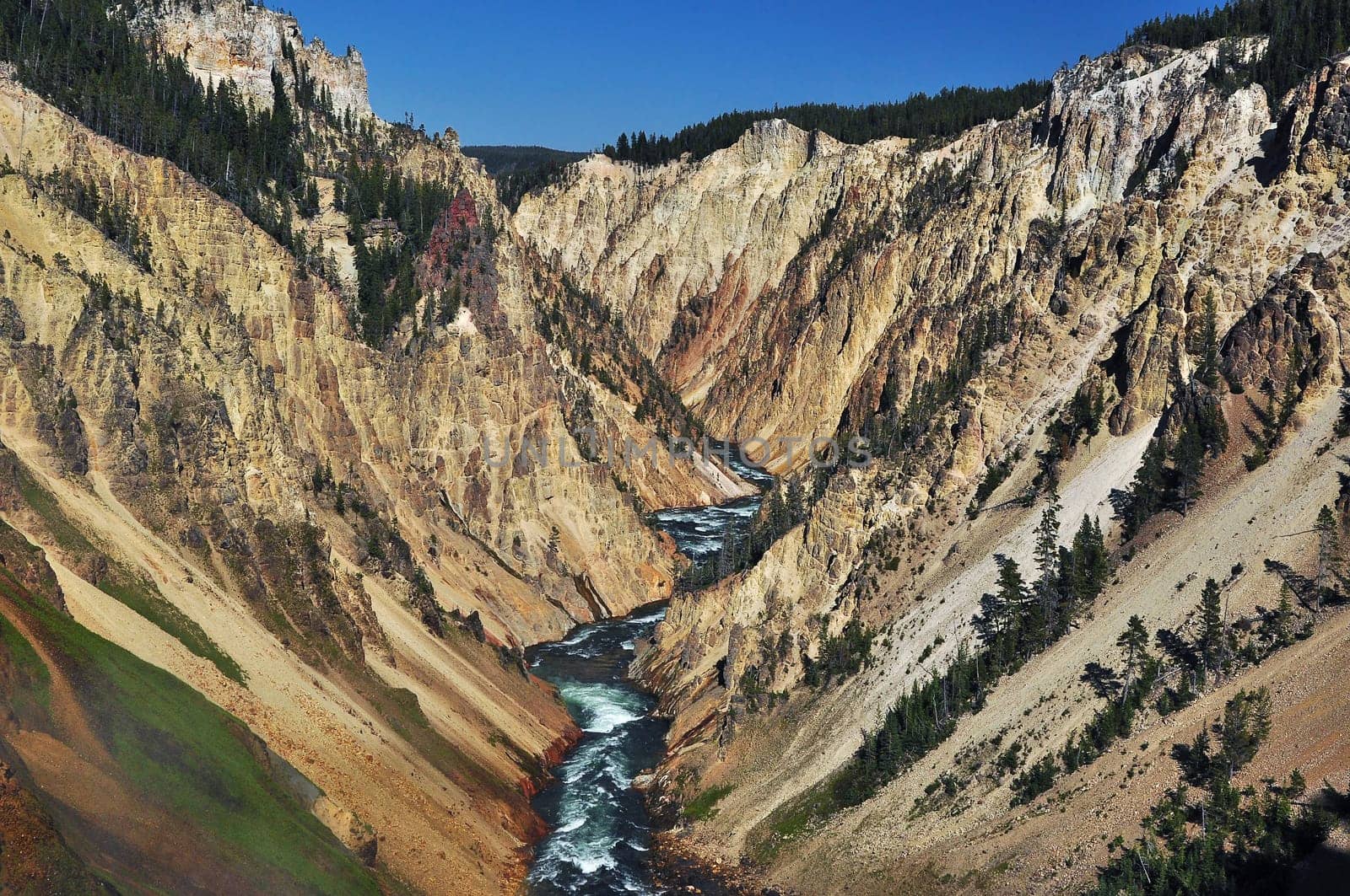 Yellowstone National Park,Wyoming,USA