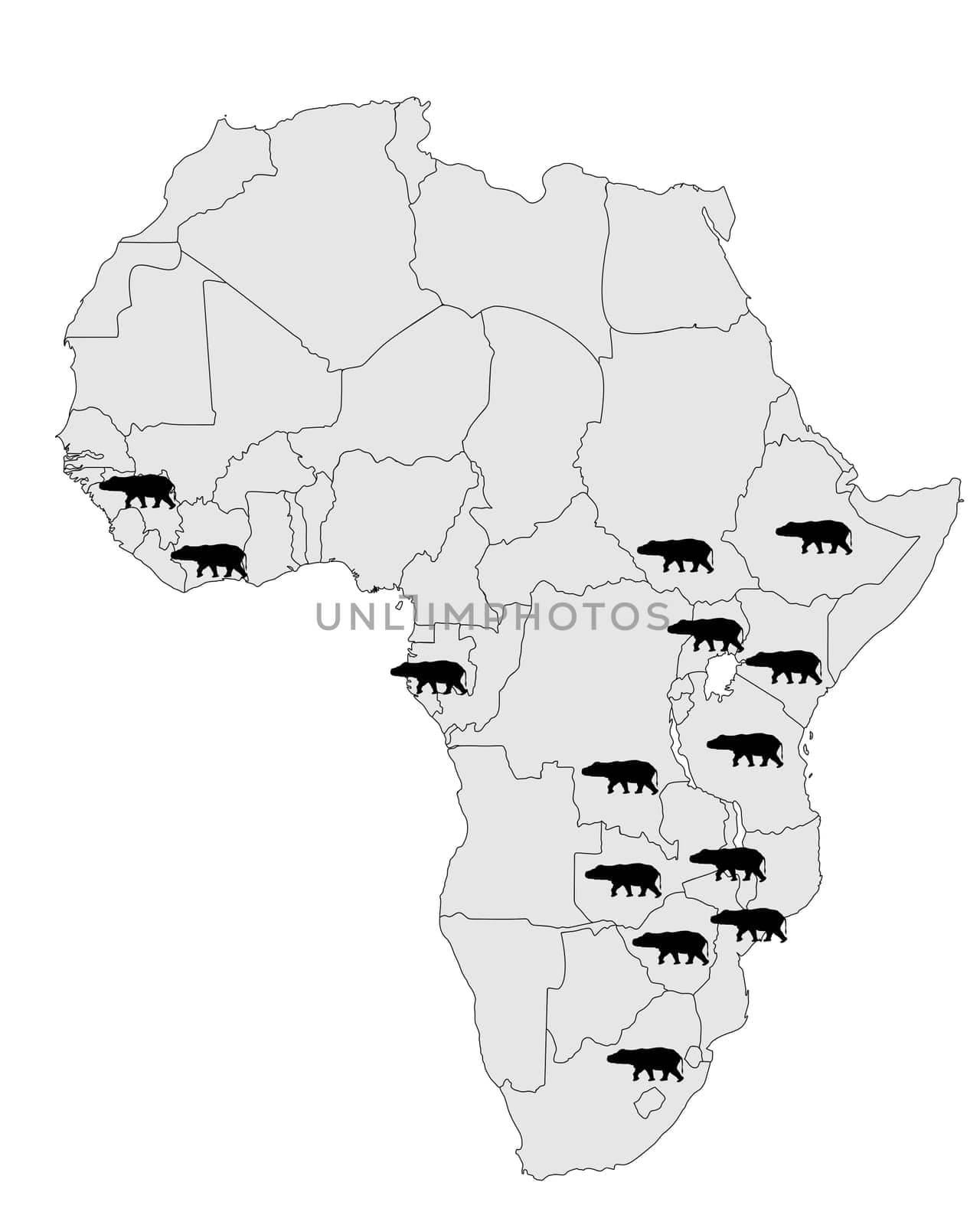 Hippopotamus Africa Distribution