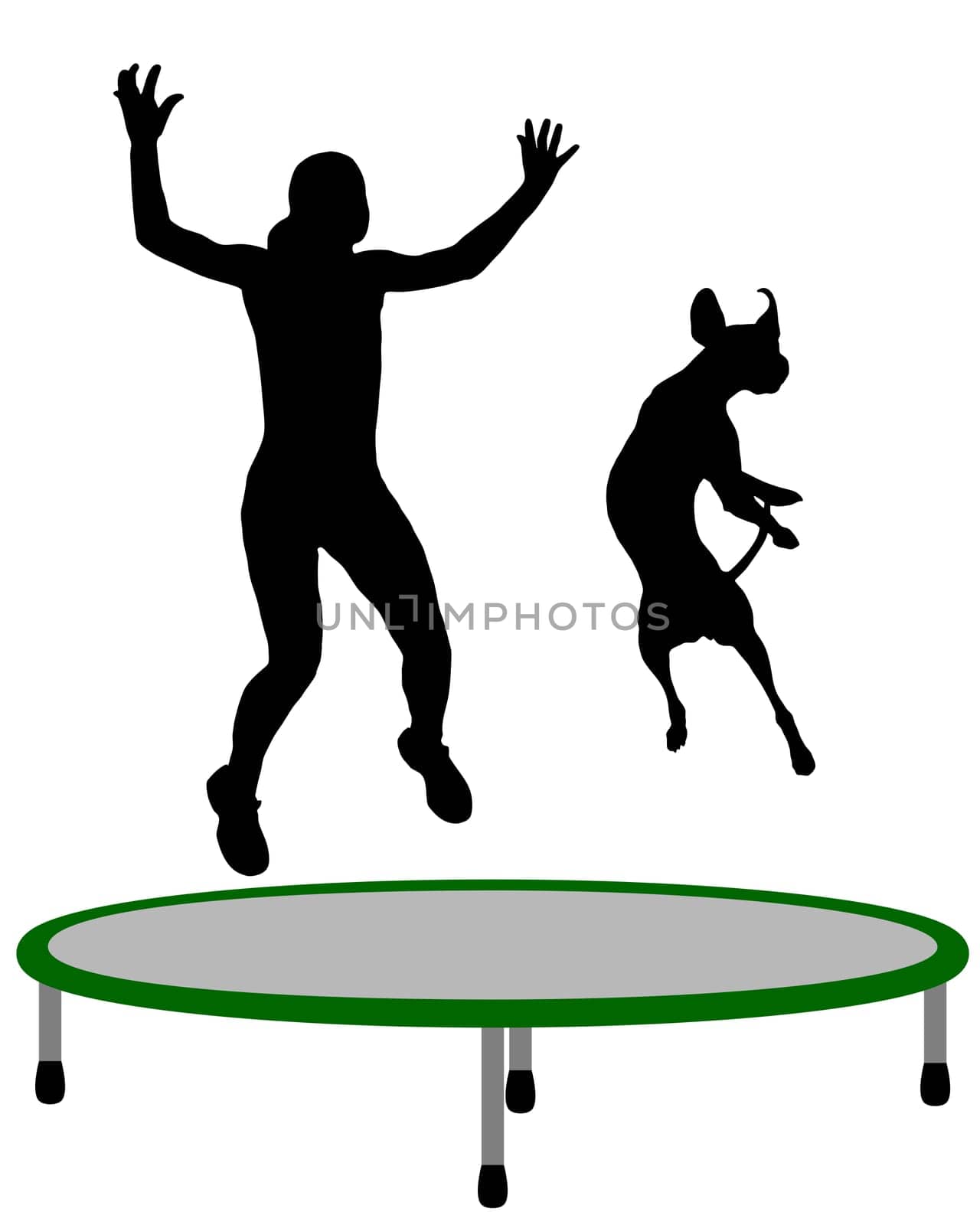 Woman and dog on trampoline
