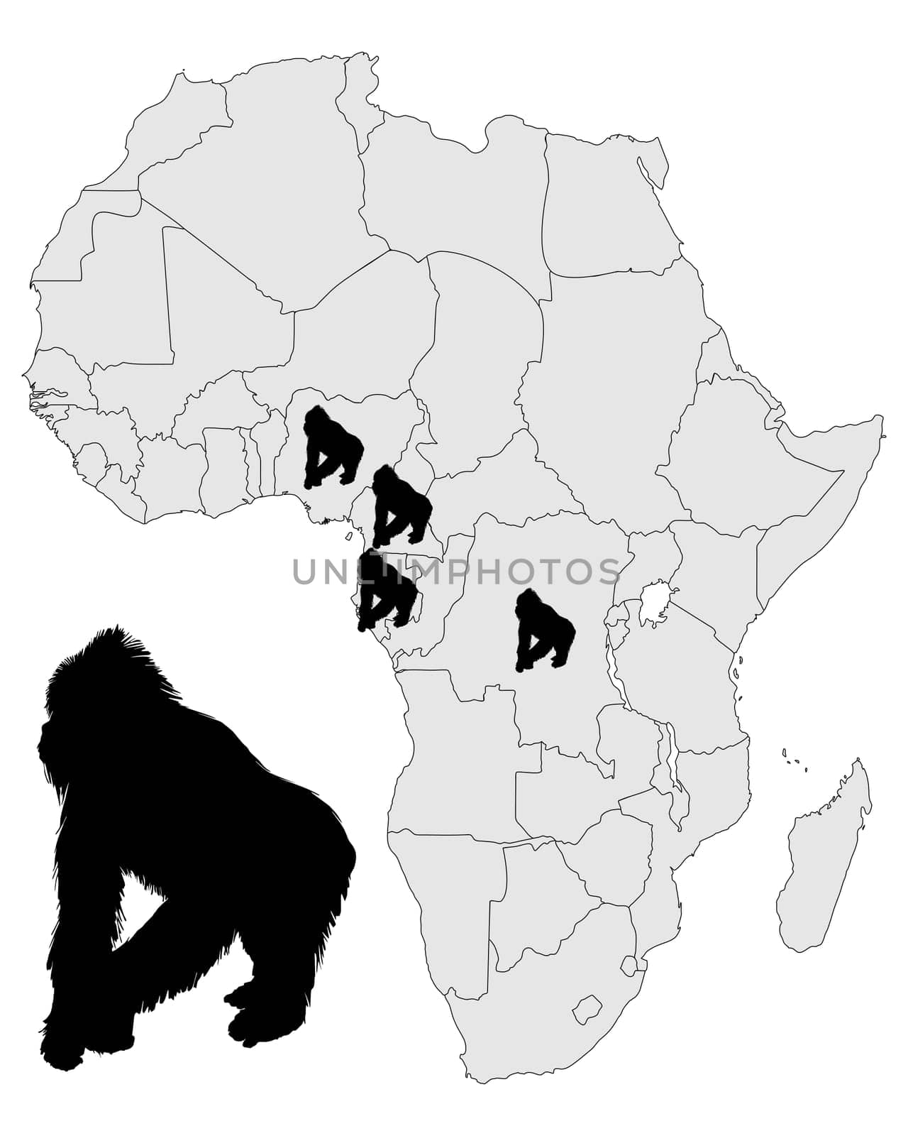 Africa Gorilla Distribution