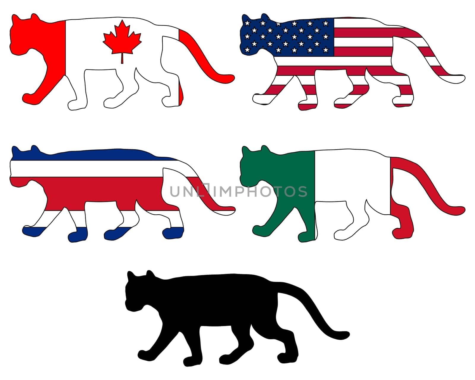 Puma Flags