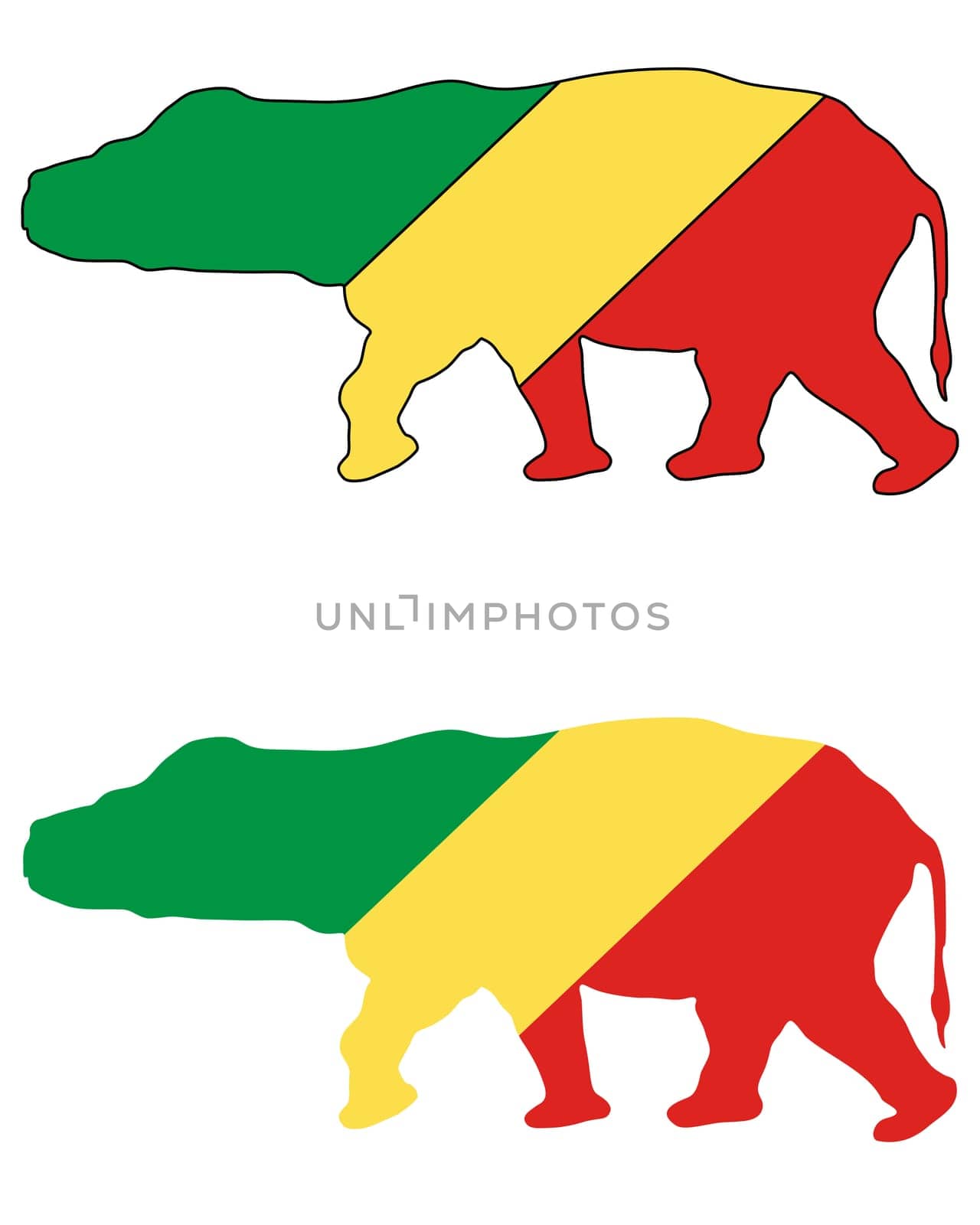 Hippopotamus Congo