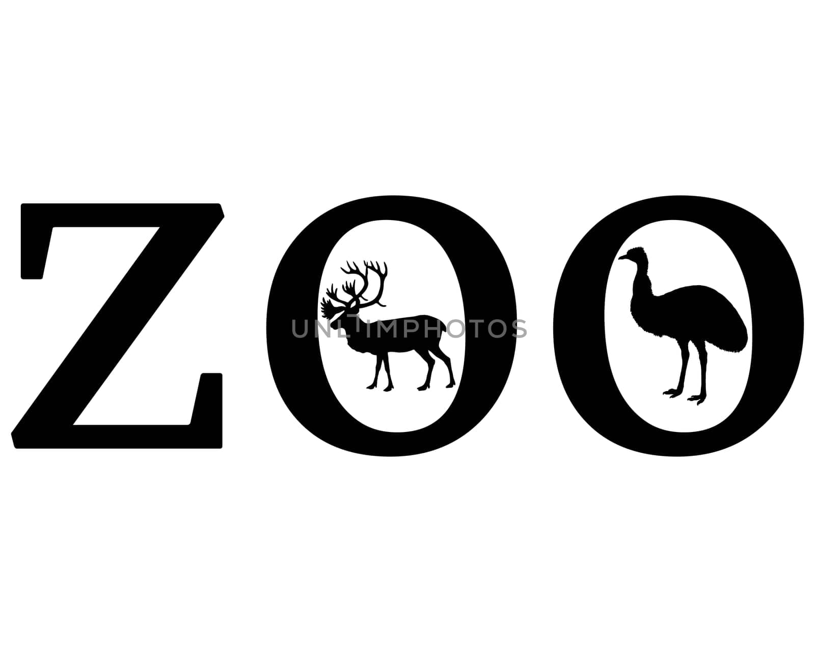 Zoo Animals