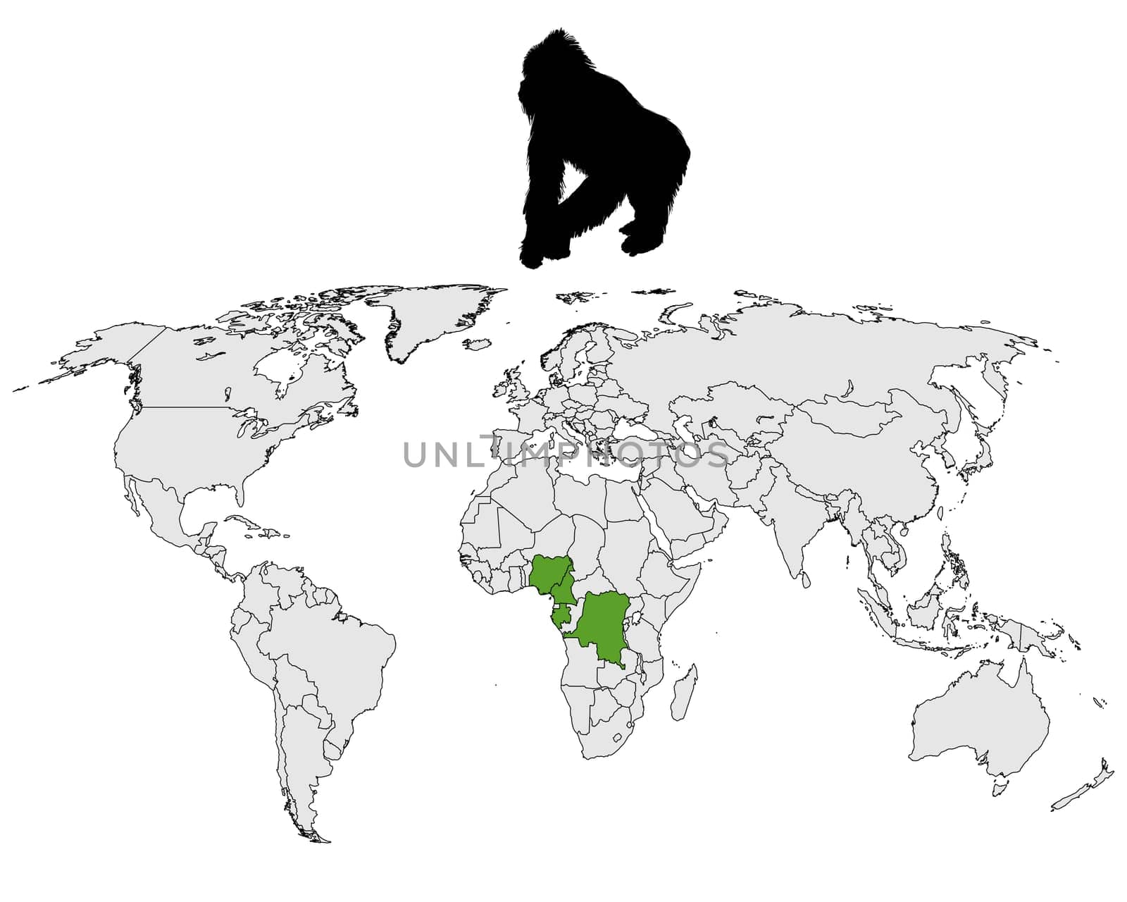 World Gorilla Distribution