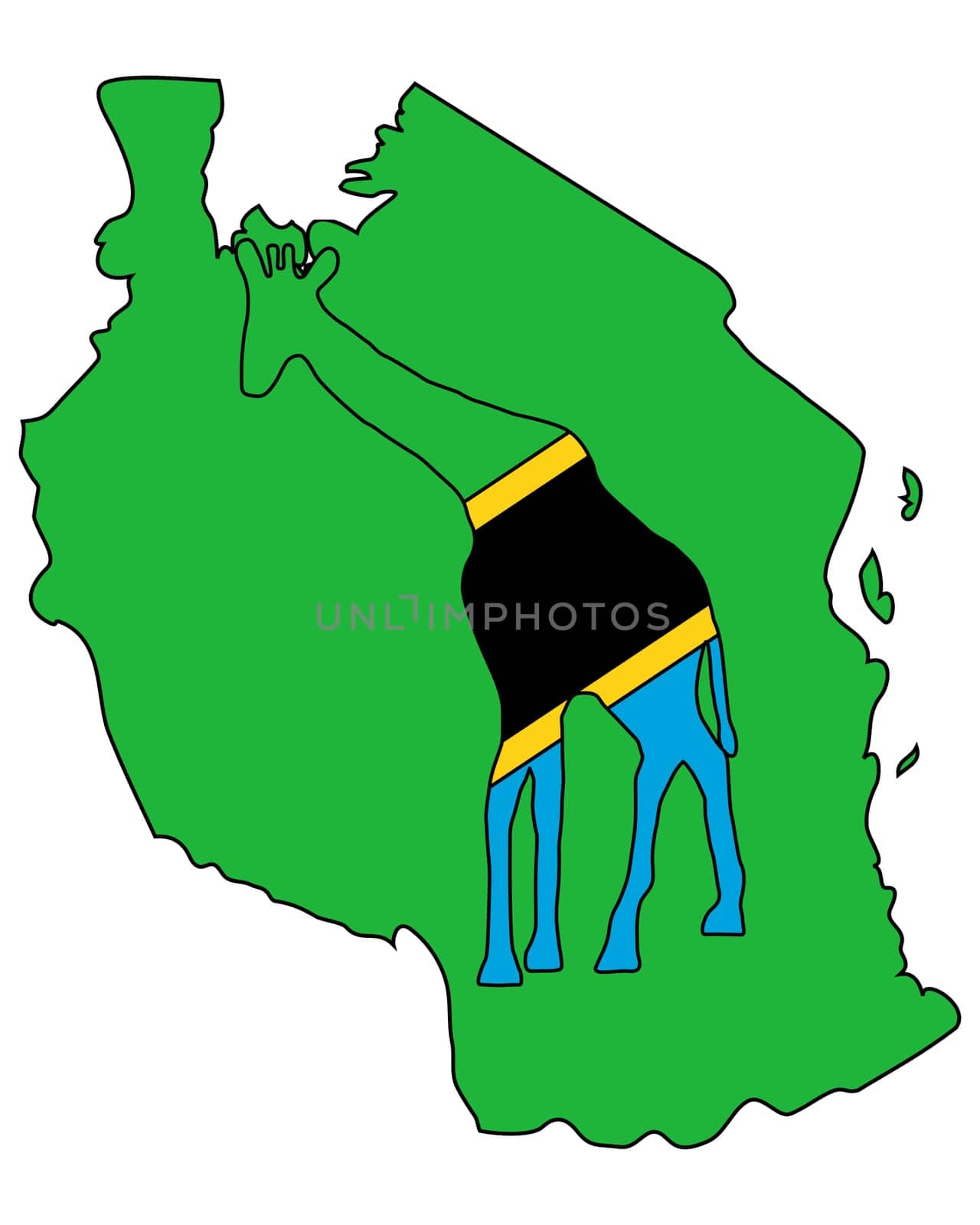 Tanzania Giraffe