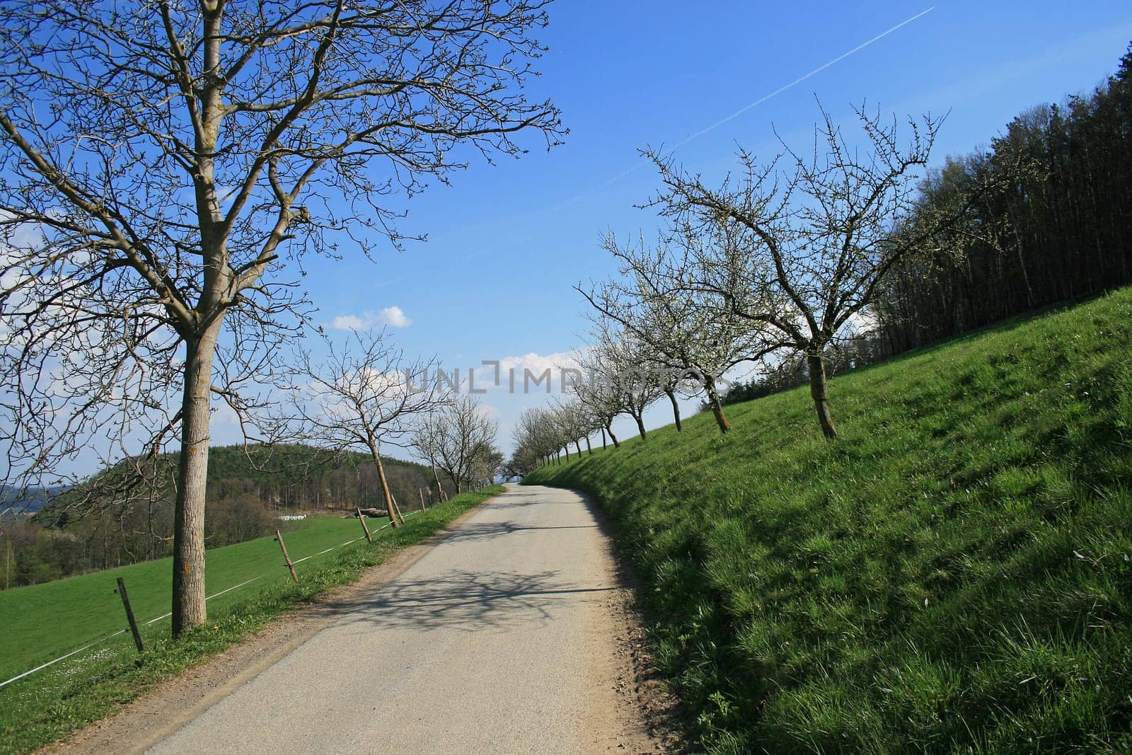 Avenue