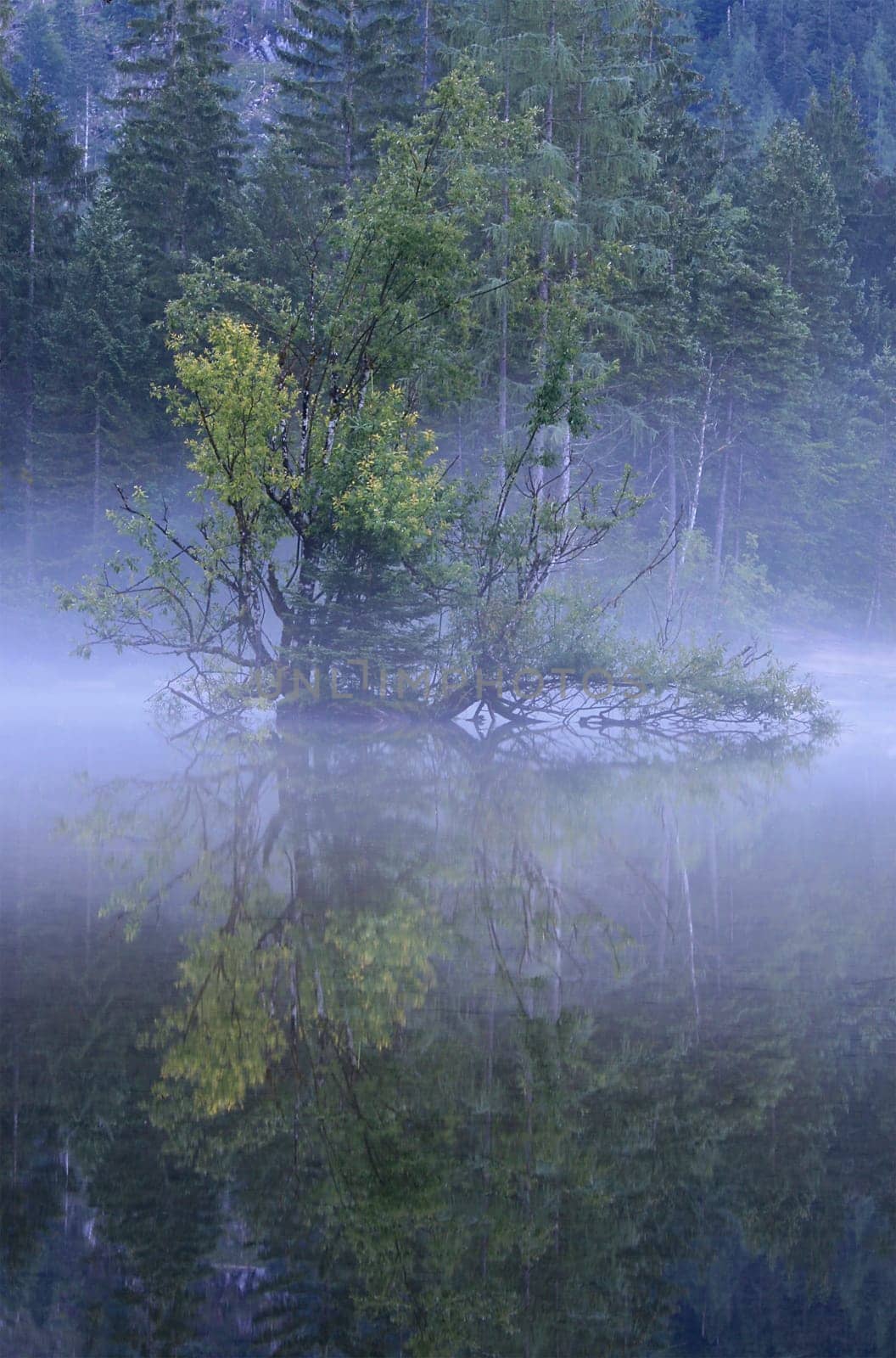Salzkammergut