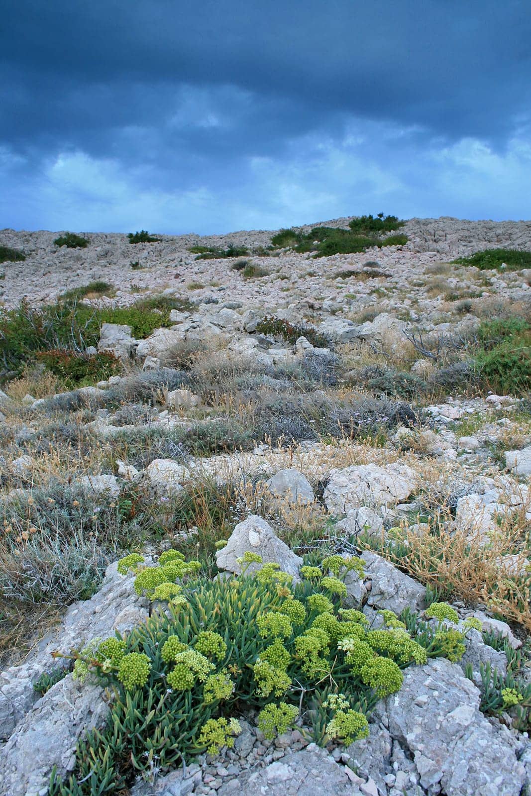 Croatian Coastal Region