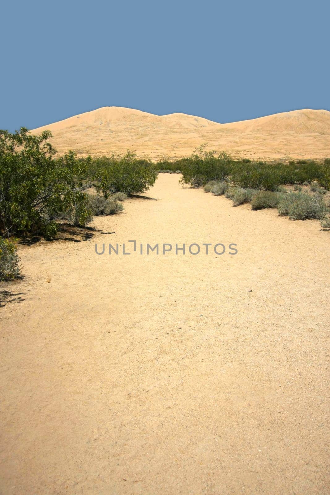 Desert path towards dunes of sand
