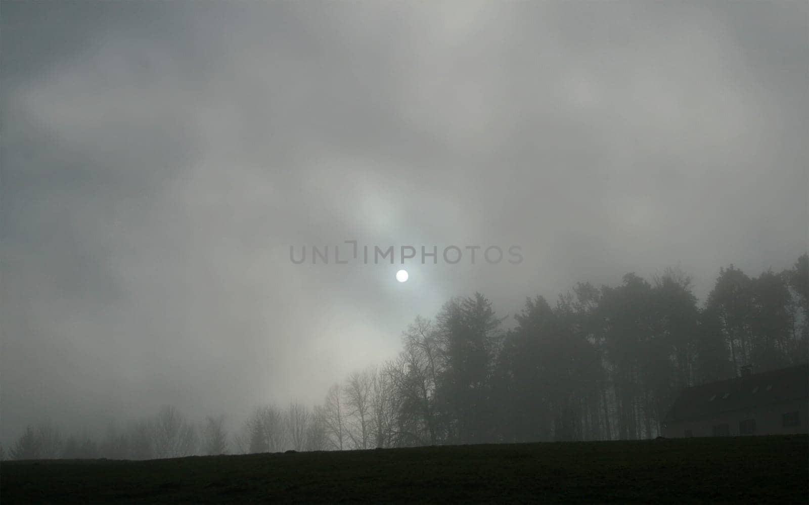 Foggy weather