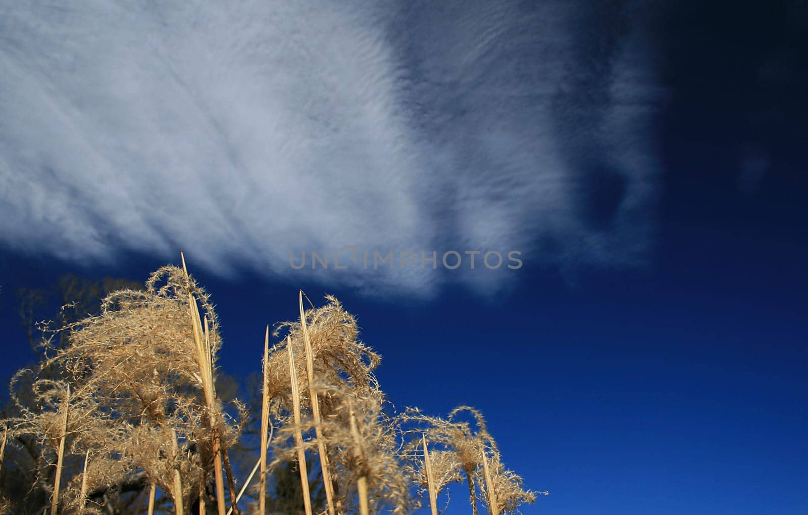 Clouds