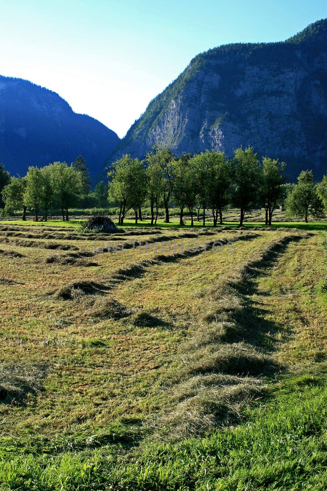 Salzkammergut