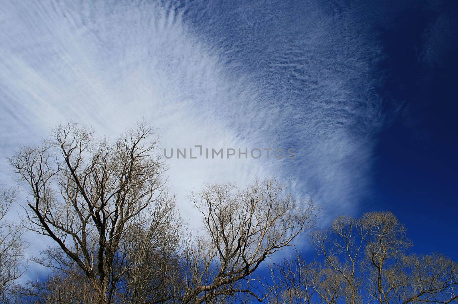 Clouds