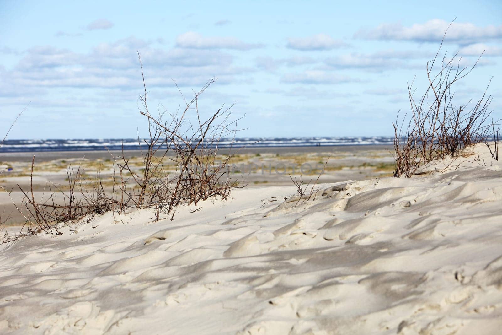 Sand dunes and beach by the sea - The sea can be seen in the background -Copy space