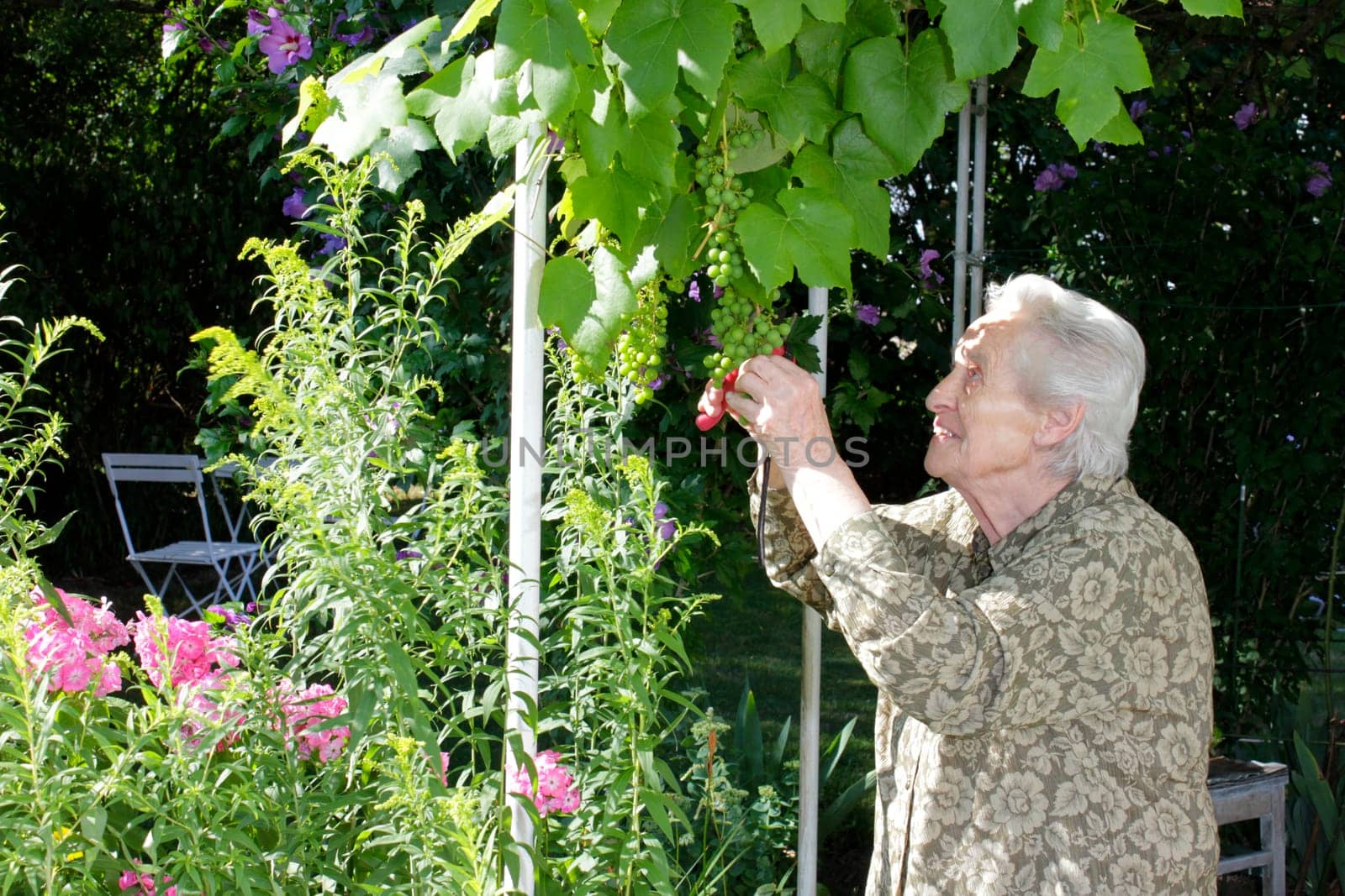 Senior woman enjoys gardening