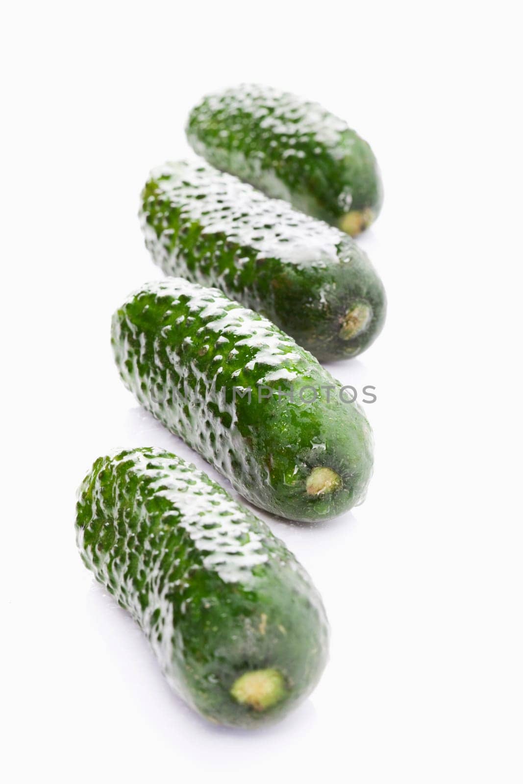 Pickling cucumbers