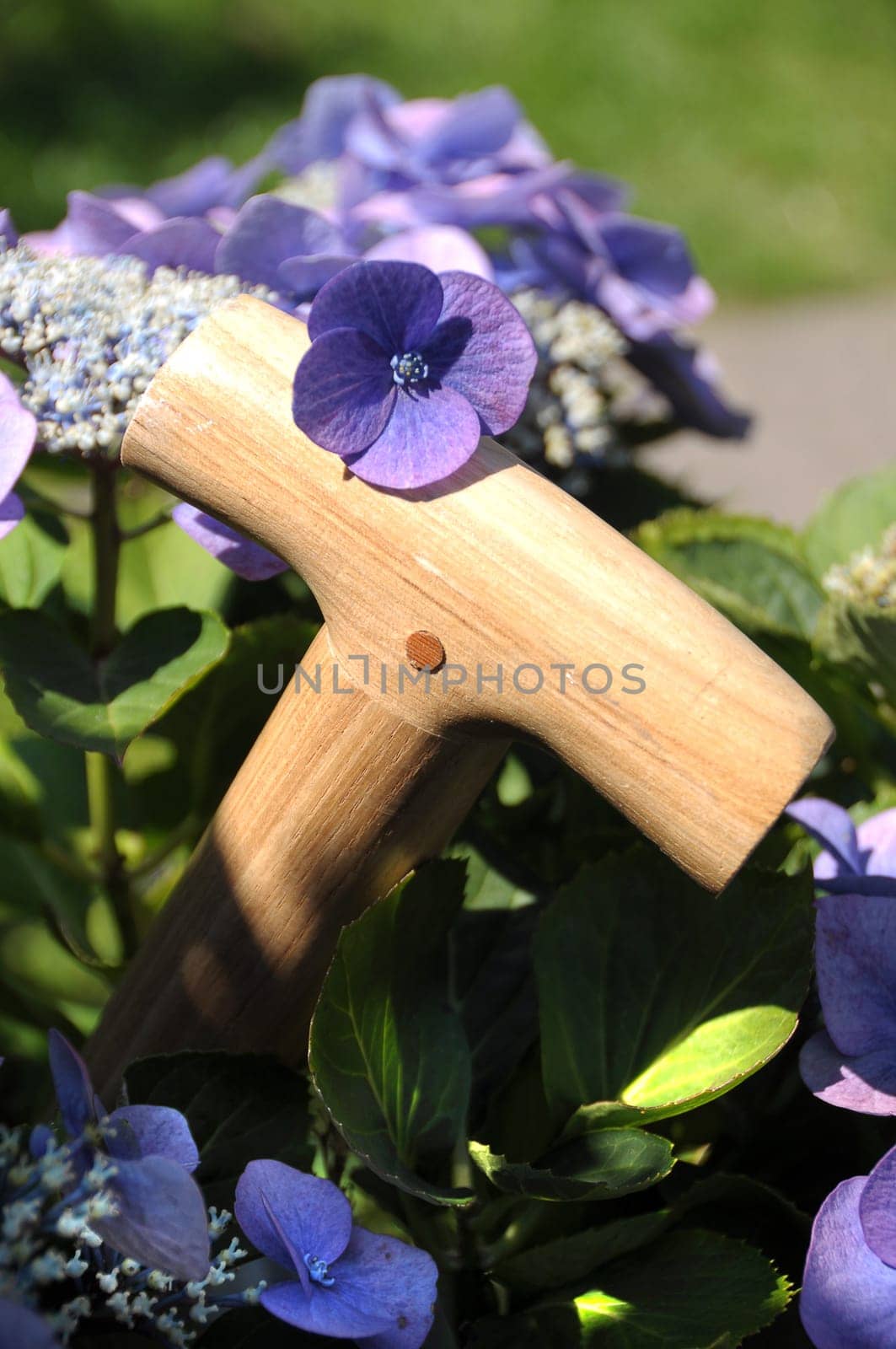 Spade handle in the flower bed
