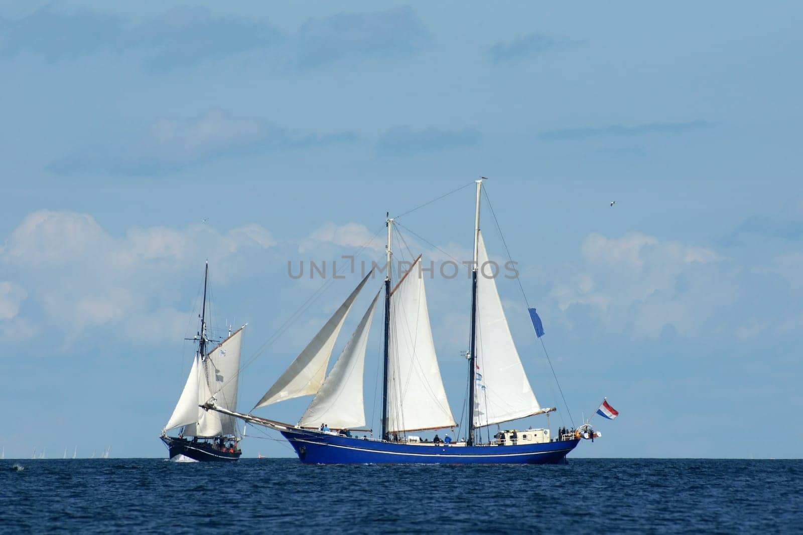 Blue Schooner