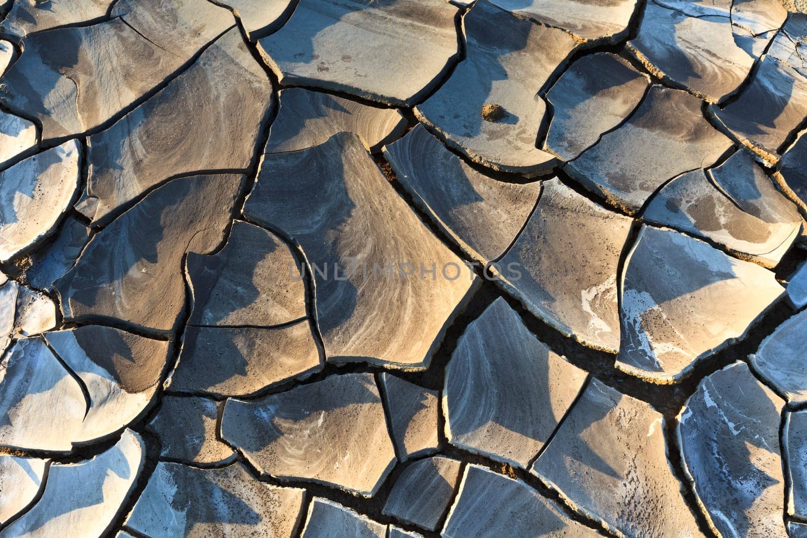 a nice texture on a dry land