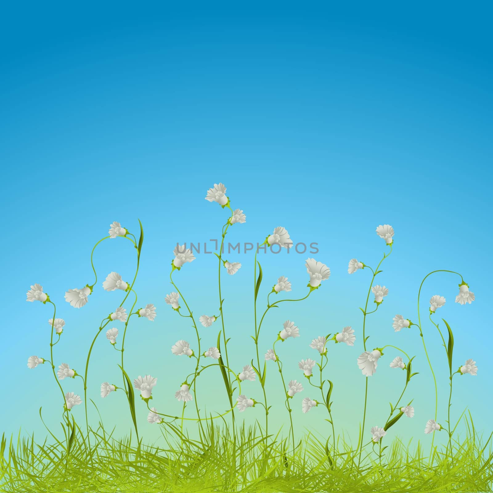 Graphic composition with beautiful white flowers and grass