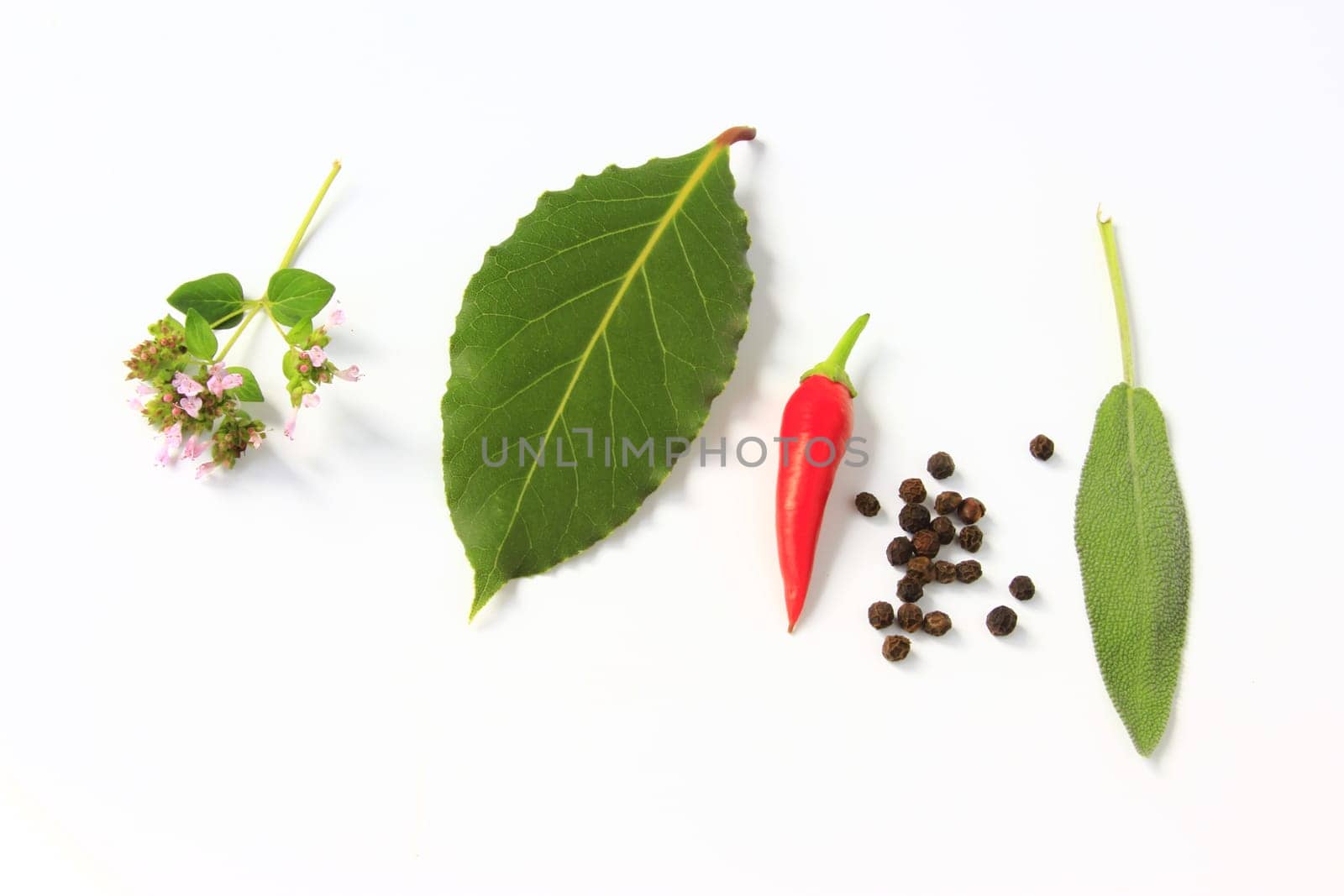 fresh garden herbs,isolated against white background