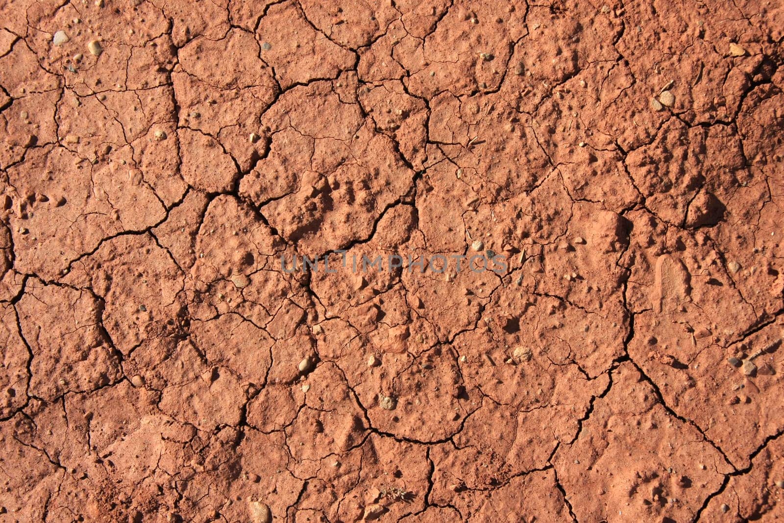 Dry red arable soil