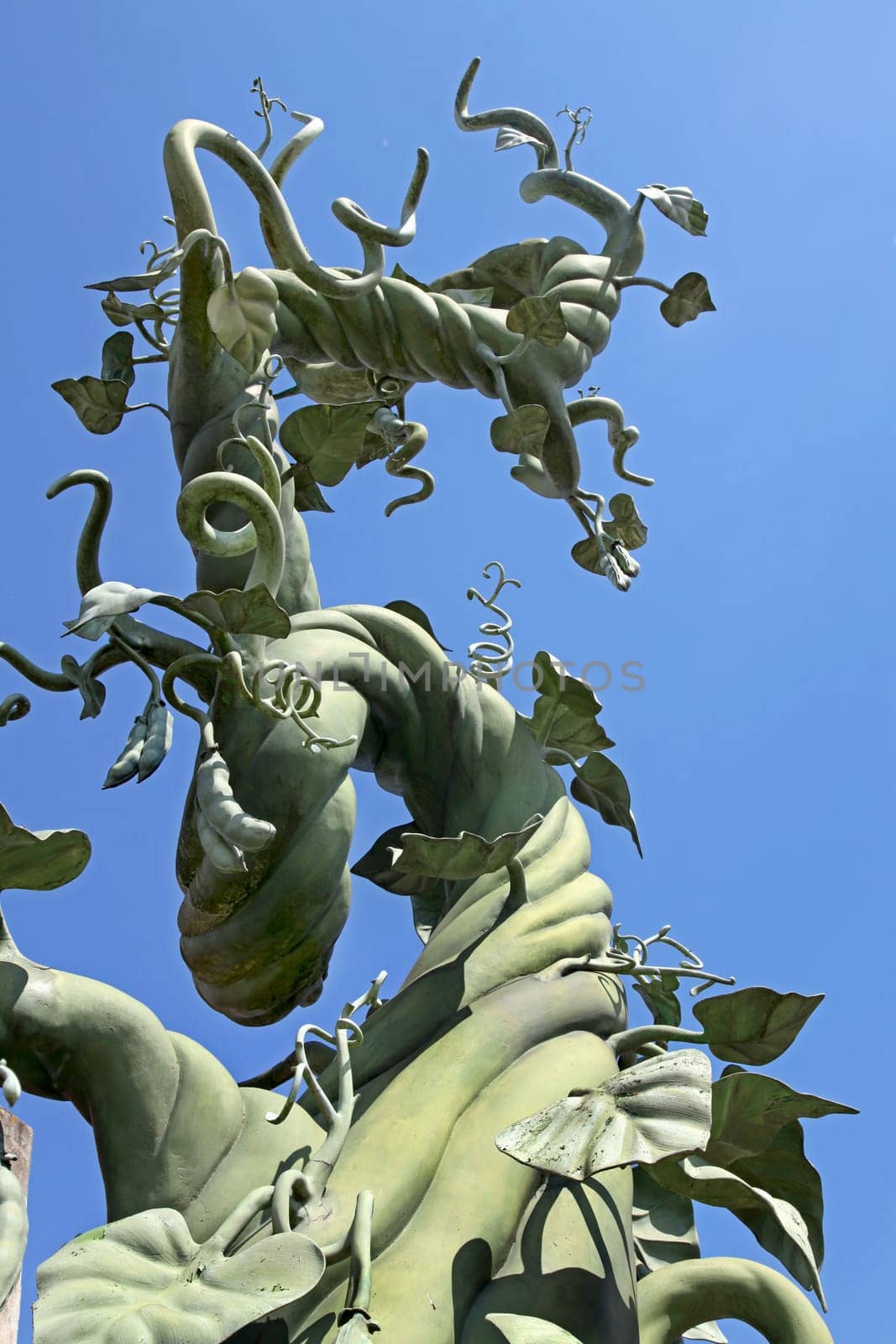 A beanstalk growing up into the blue sky