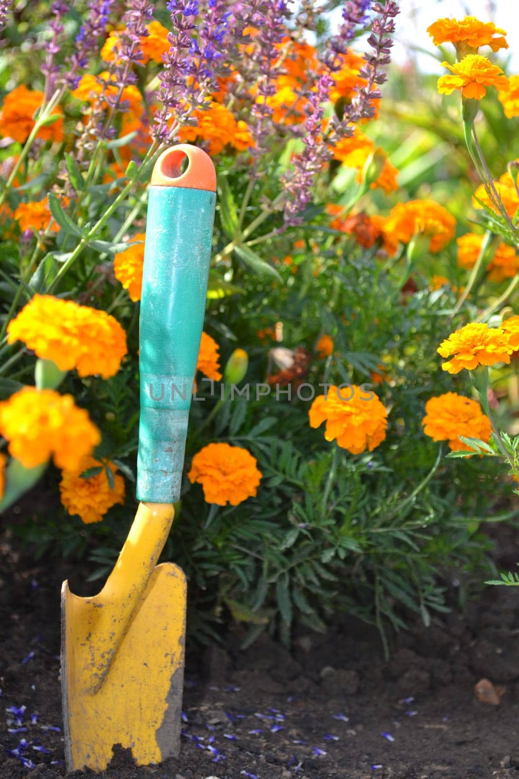 Gardening