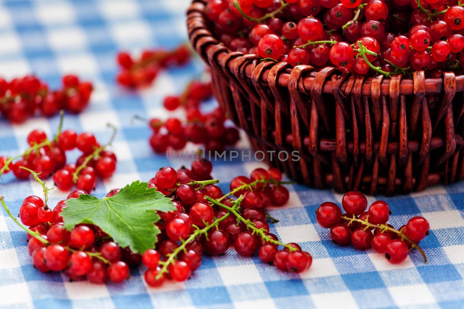 Redcurrant in wicker bowl on the table by dimol