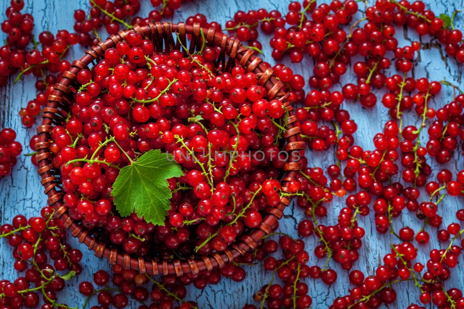 Redcurrant red currant berries in wicker bowl on kitchen table