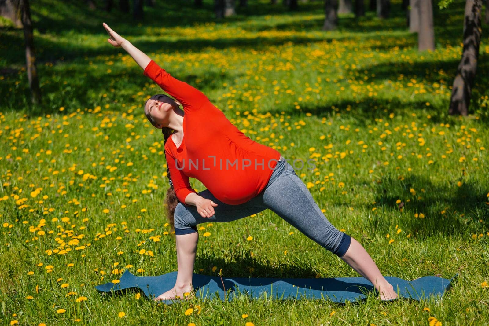 Pregnancy yoga exercise - pregnant woman doing asana Utthita parsvakonasana outdoors on grass in summer