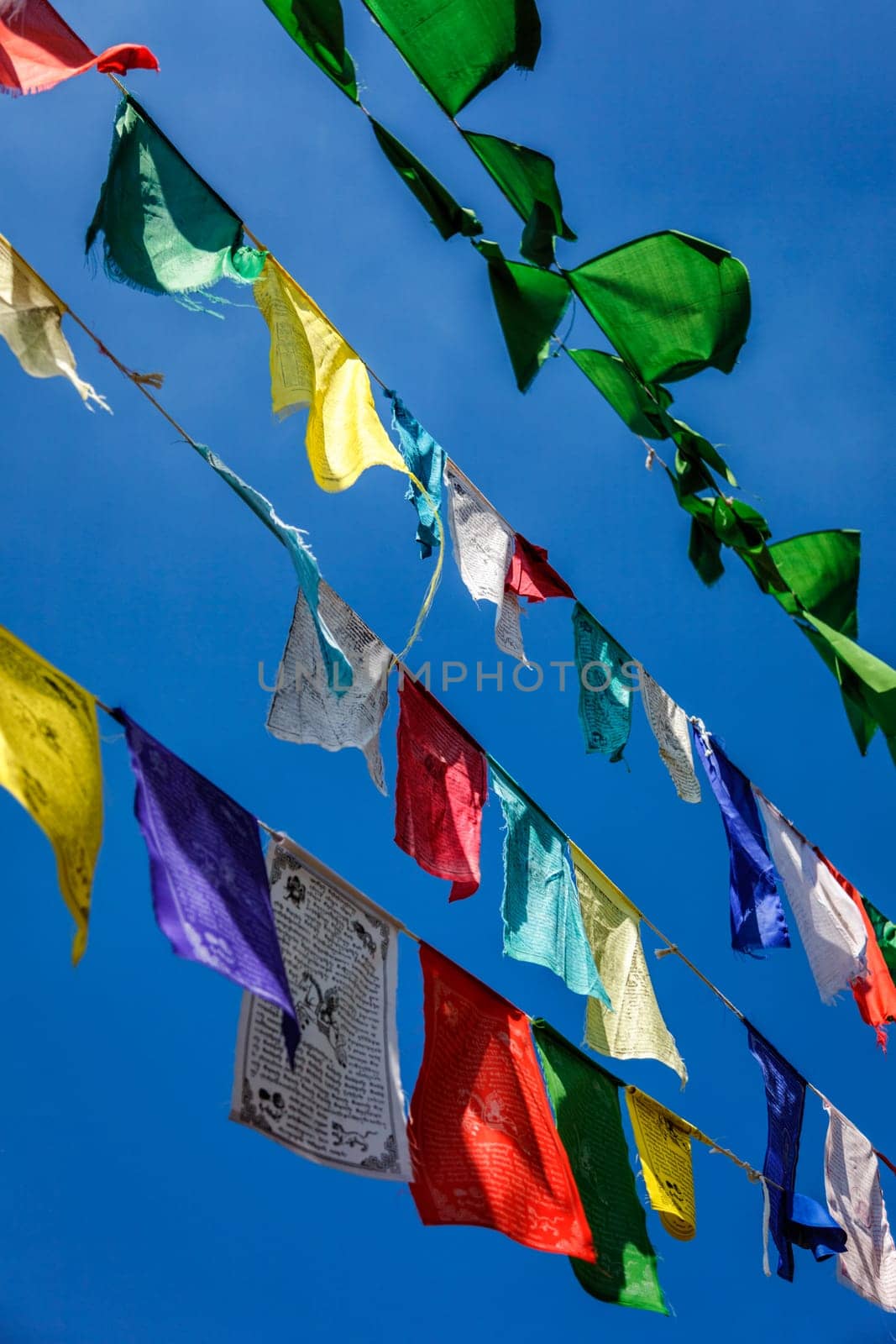 Buddhist prayer flags lunga in McLeod Ganj, Himachal Pradesh, India by dimol