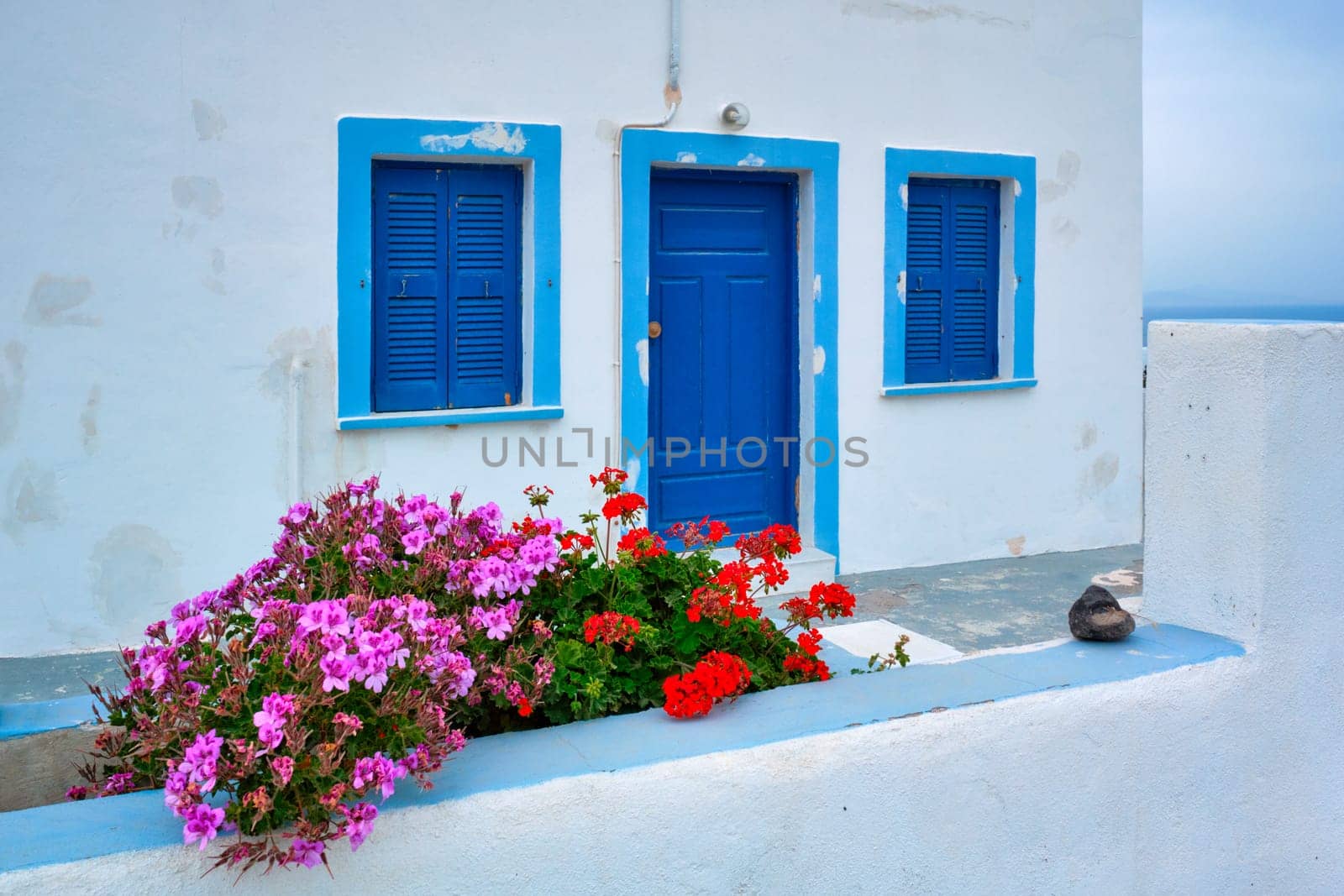 Traditional greek white whitewashed house with blue door and window blinds with flowers in Oia village on Santorini island in Greece