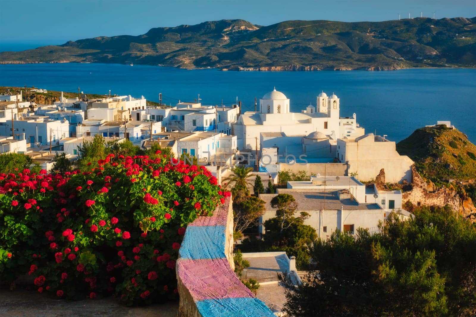 Picturesque scenic view of Greek town Plaka on Milos island over red geranium flowers and Orthodox greek church. Plaka village, Milos island, Greece. Focus on flowers