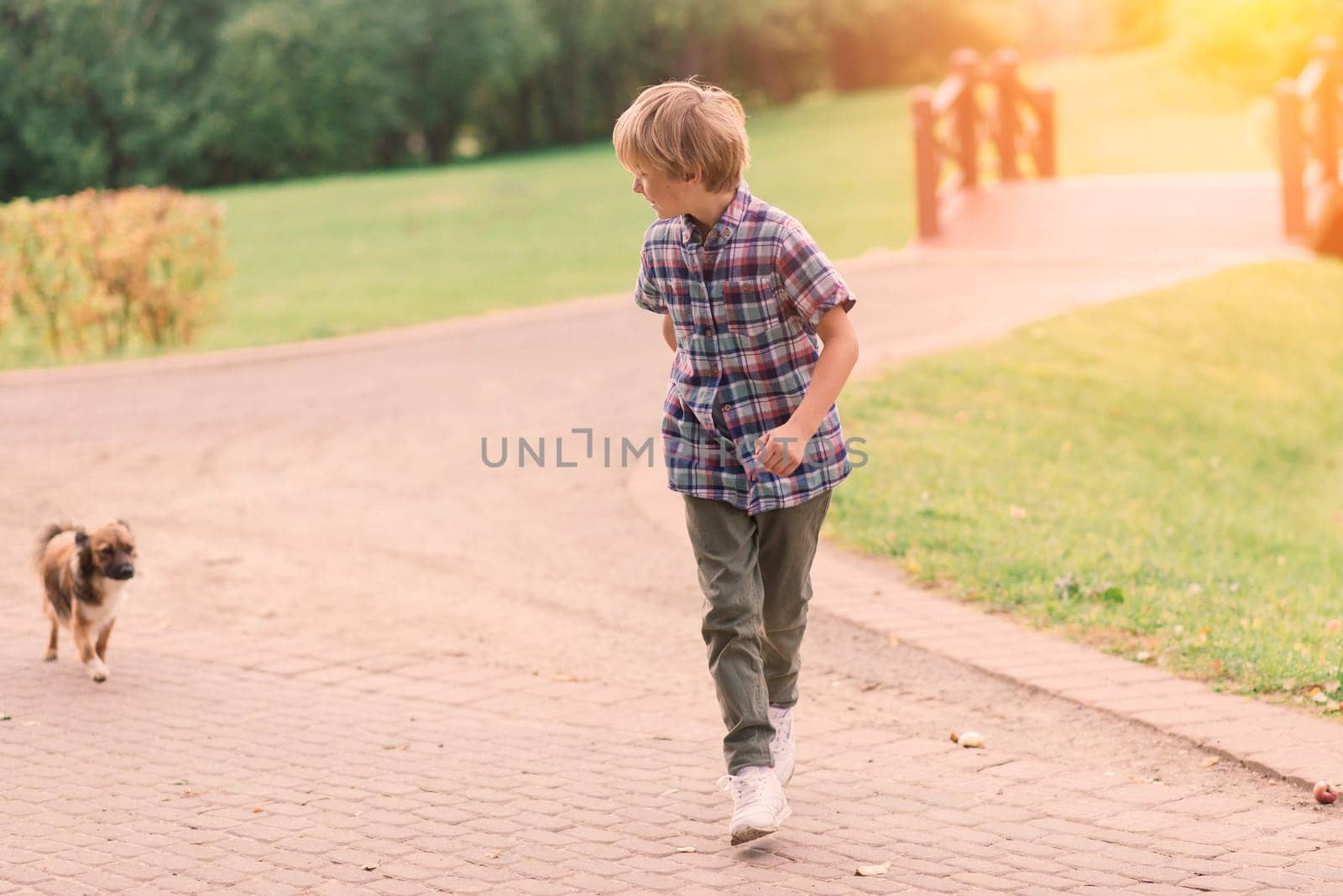 Cute boy playing and walking with his dog in the meadow.